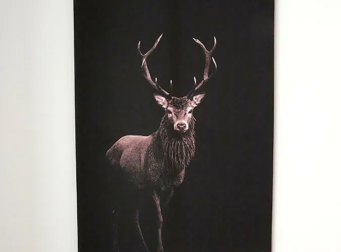 Apartment U Piatkow Karpacz