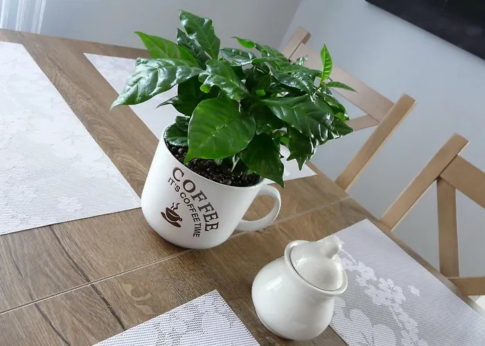 U Piatkow Apartment *